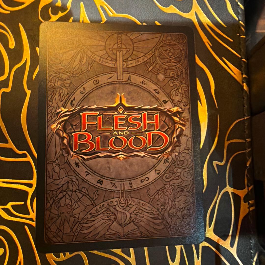 FAB 嵐からの避難/Shelter from the Storm NF