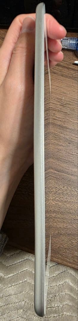 Apple iPad mini (第５世代) Wi-Fi 256GB シルバー