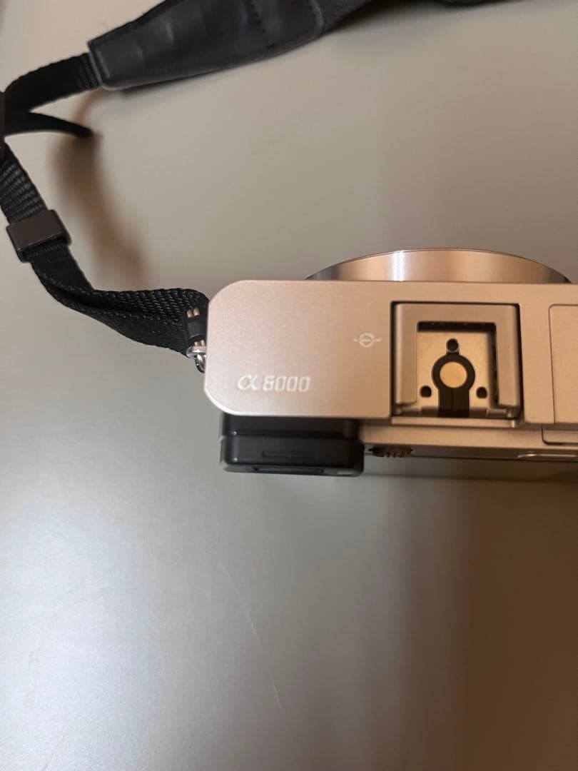 SONY α6000 ミラーレス一眼 本体と付属品