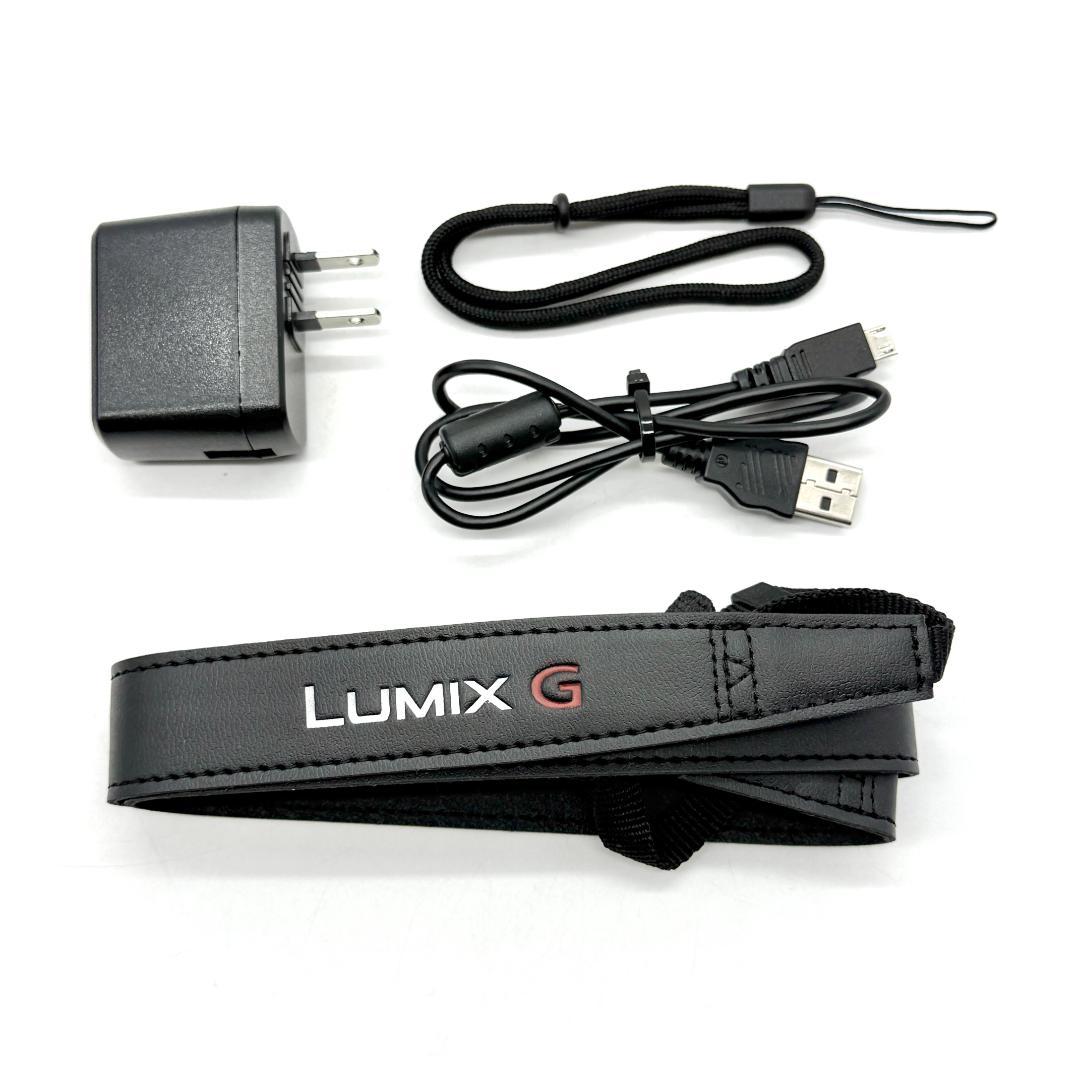 Panasonic LUMIX DC-G100 Vデジタルカメラ