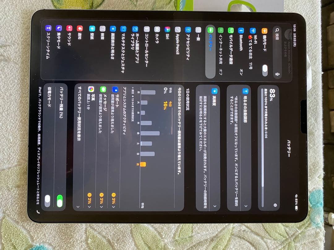 Apple iPad Pro12.9 第3世代　256gb セルラーモデル