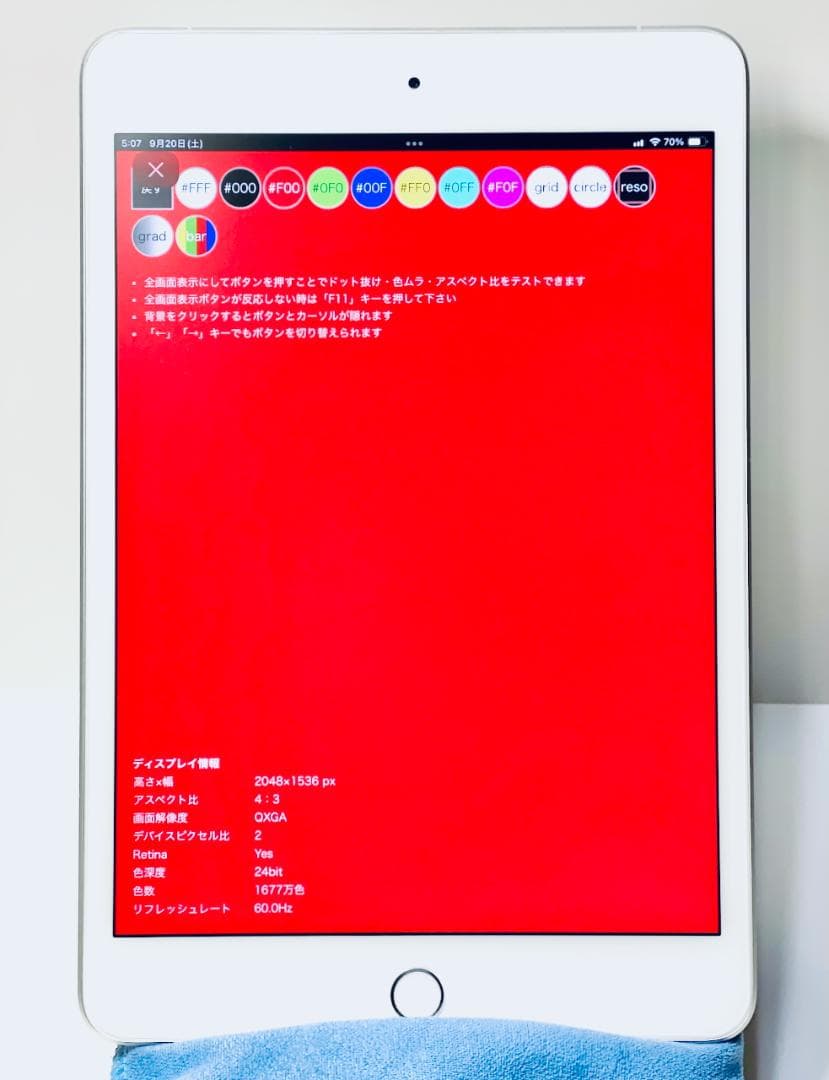 iPad mini 第5世代 Cellular 256GB シルバー 97%