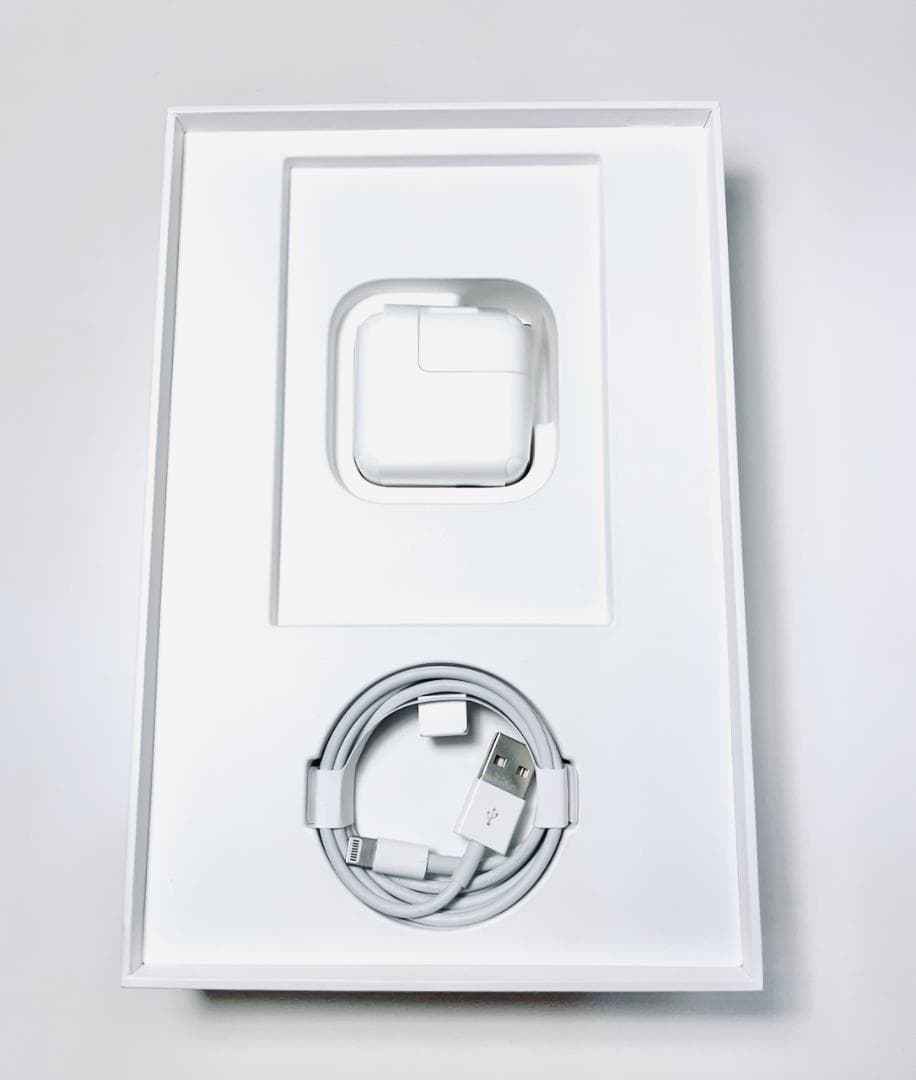 iPad mini 第5世代 Cellular 256GB シルバー 97%