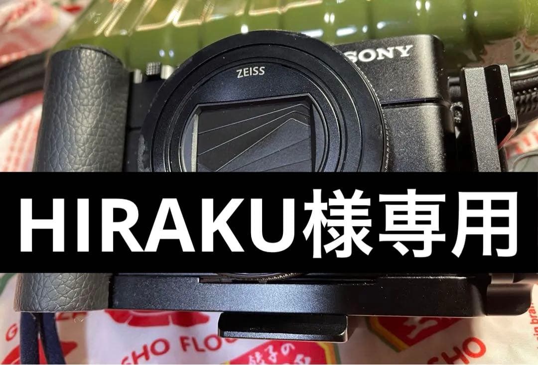 DSC-RX100M6 実用品