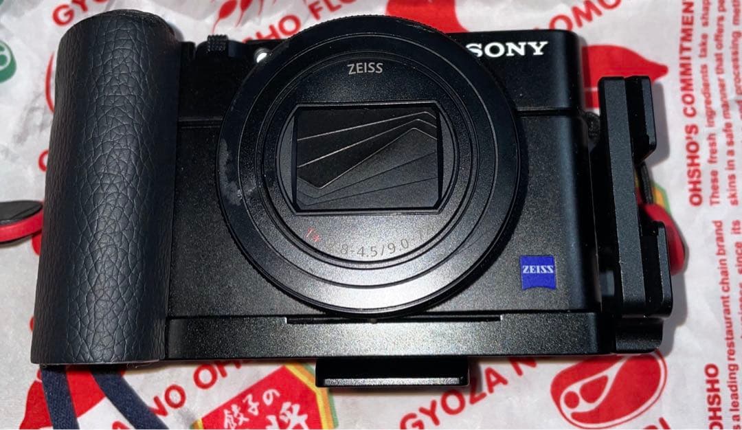 DSC-RX100M6 実用品