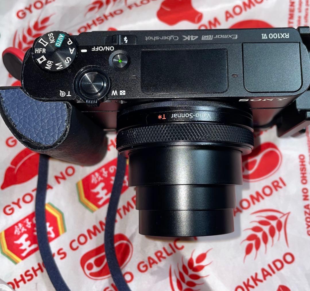 DSC-RX100M6 実用品