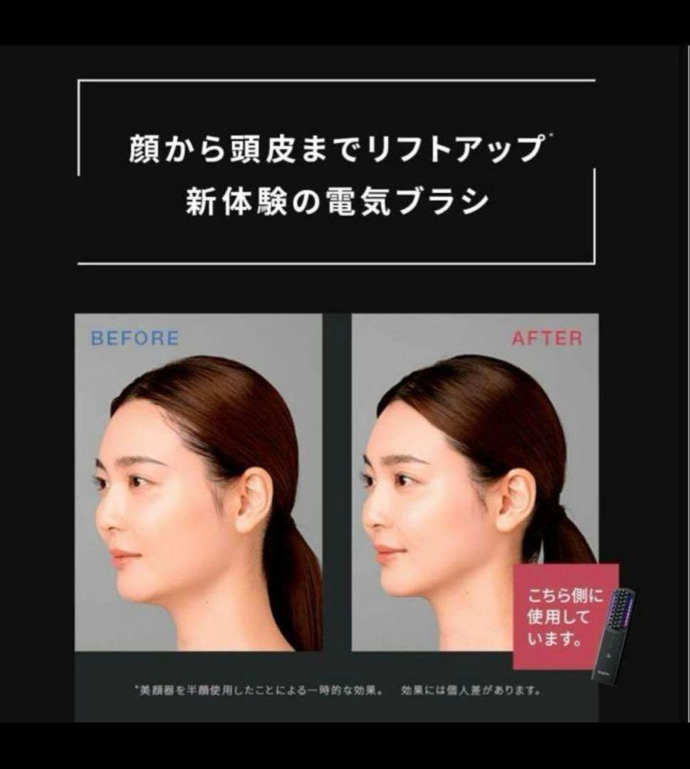 【正規品】ブライト　エレキブラシ