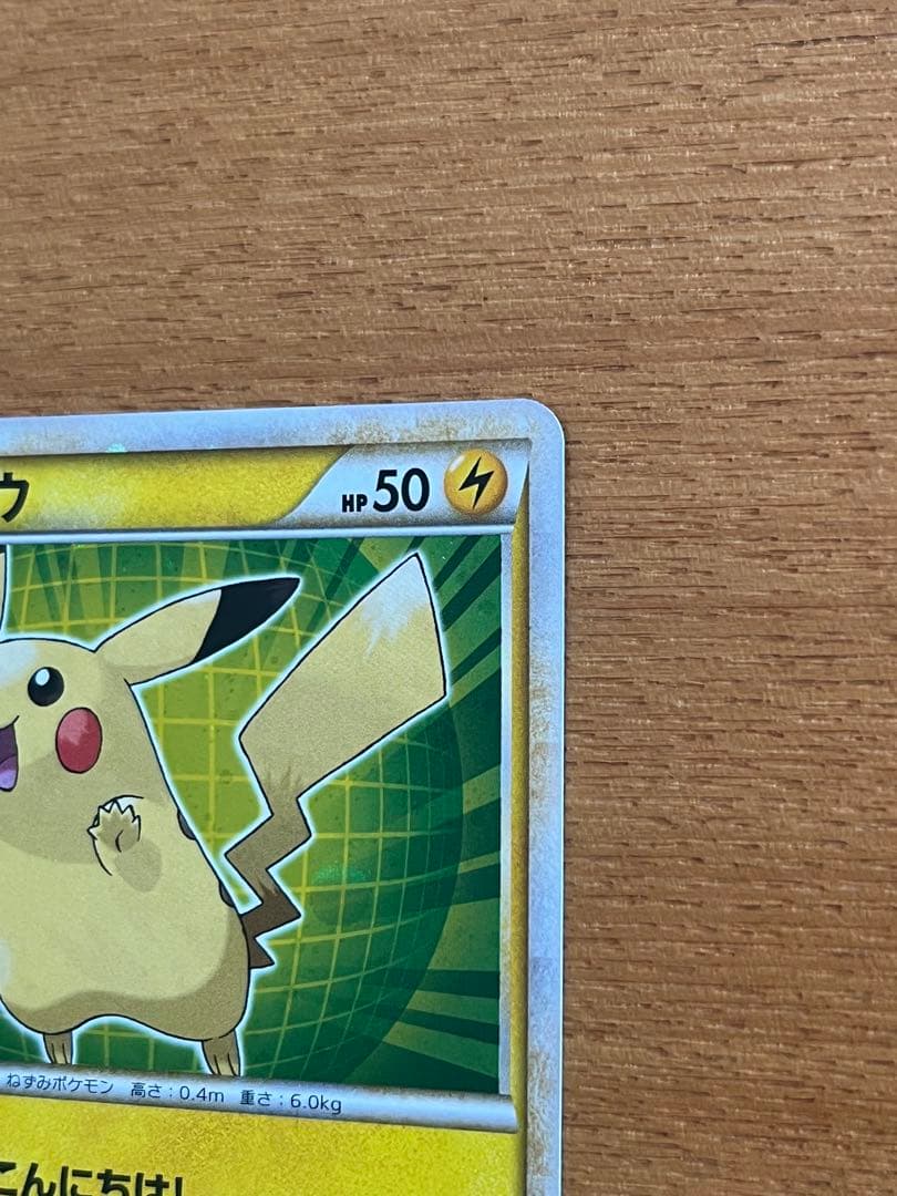 ピカチュウ ワールド　ポケモンセンター限定