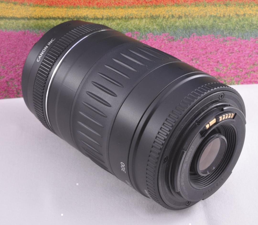 フード付き！Canon キヤノン EF90-300mm 望遠レンズ 整備済み。