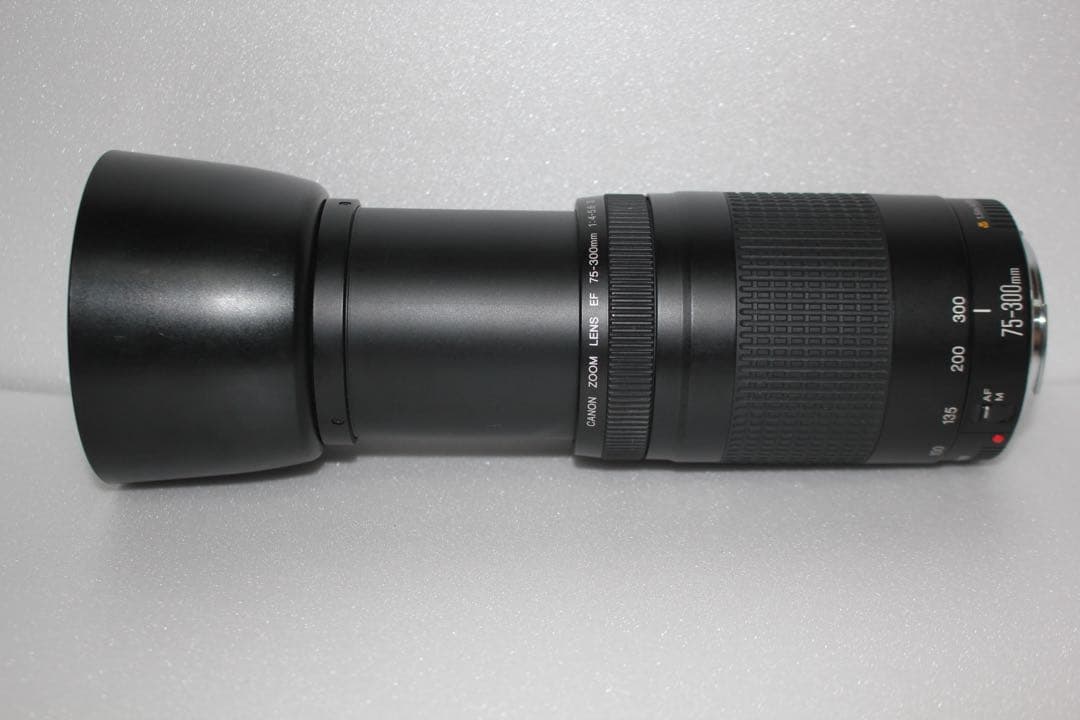 望遠レンズ/美品/スポーツ/イベント/Canon EF75-300㎜