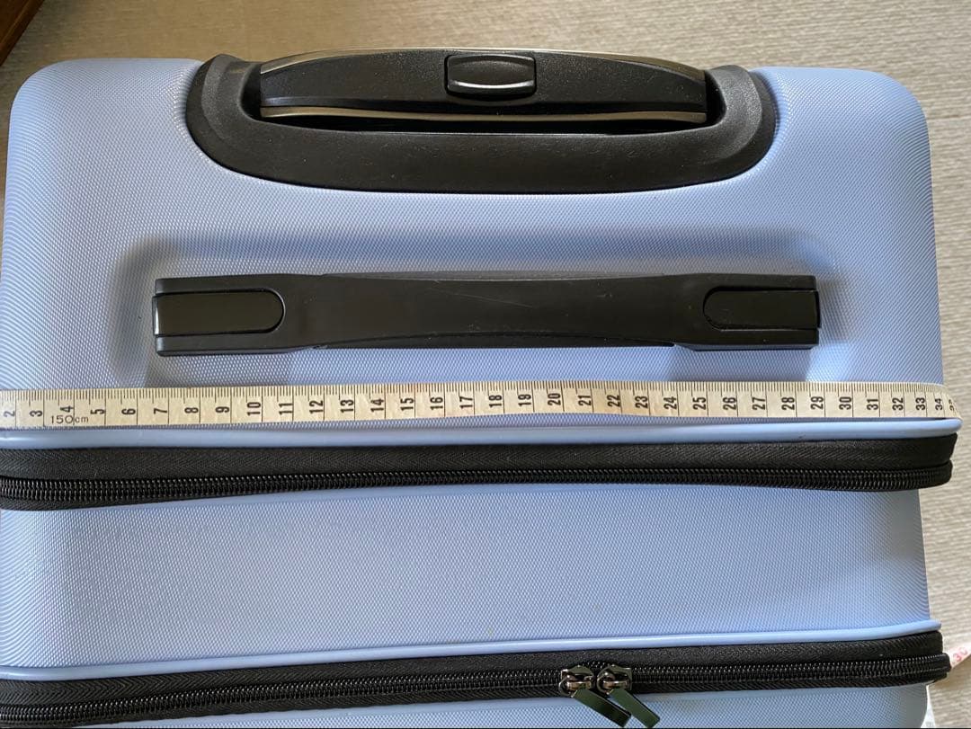 OSOTO 子犬、猫用のライトブルー キャリーケース