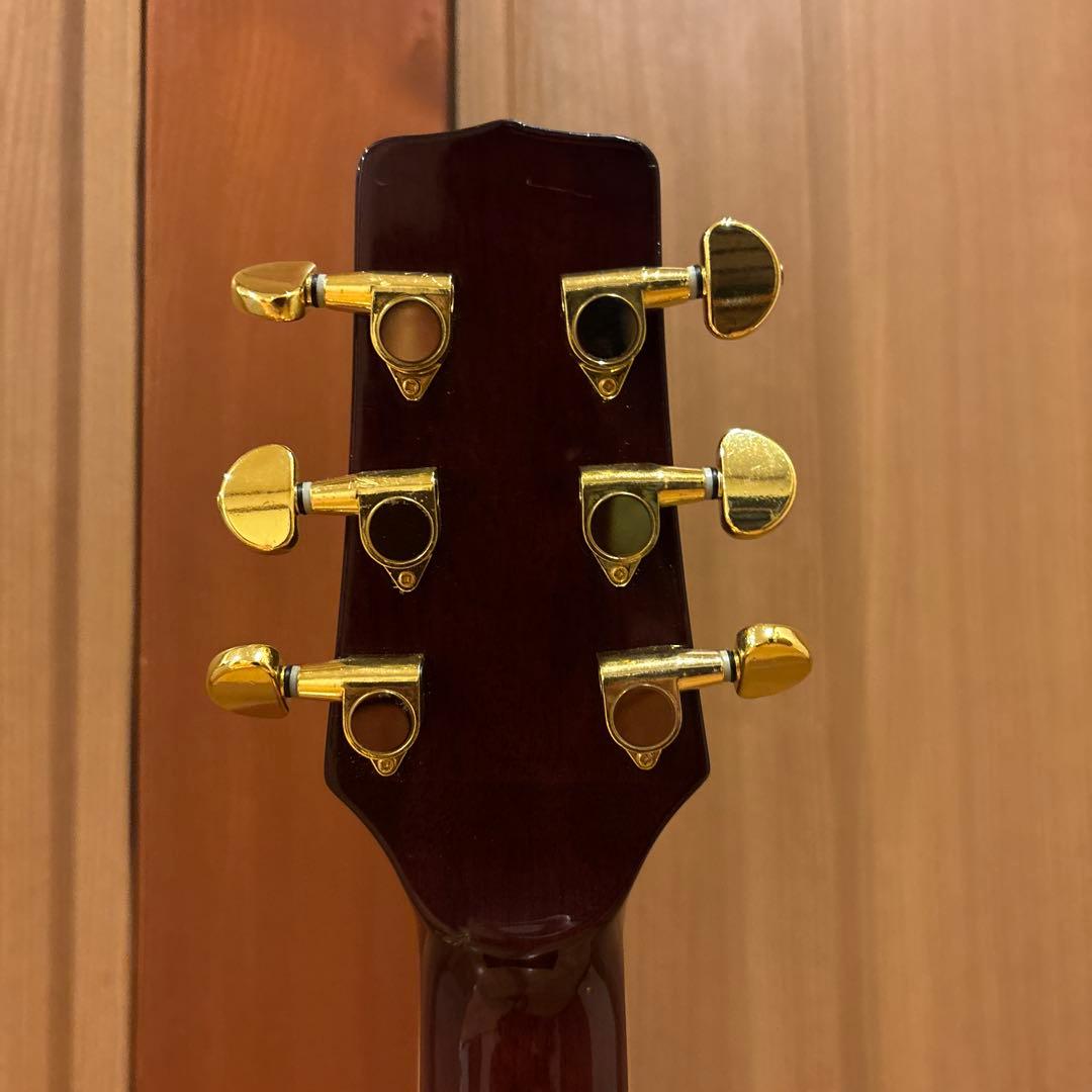 希少 Takamine エアコギター ゴールドパーツ仕様 新品弦張替済