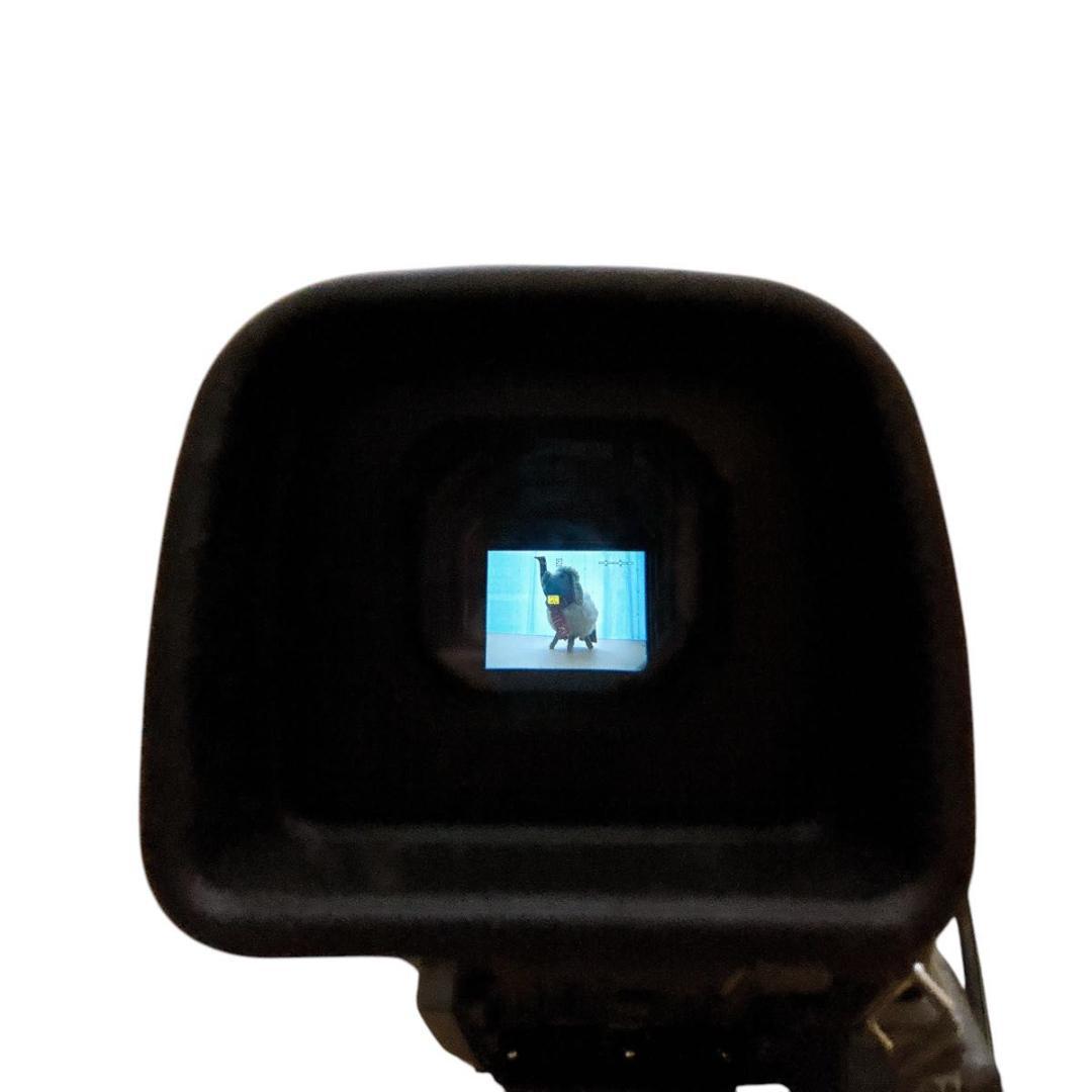 SONY ソニー miniDV テープ ビデオカメラ DCR-TRV70