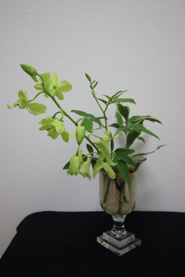 【レンズ４本セット】Canon EOS デジタル一眼レフカメラ Kiss X5