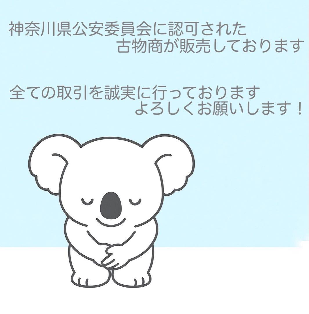 SONY DCR-TRV27 ビデオカメラ 美品 a4828