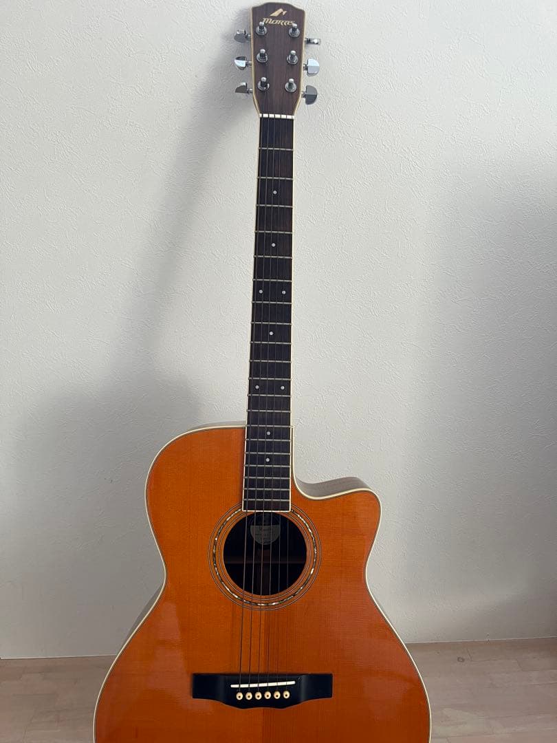 Morris Rumbler RA800P アコースティックギター