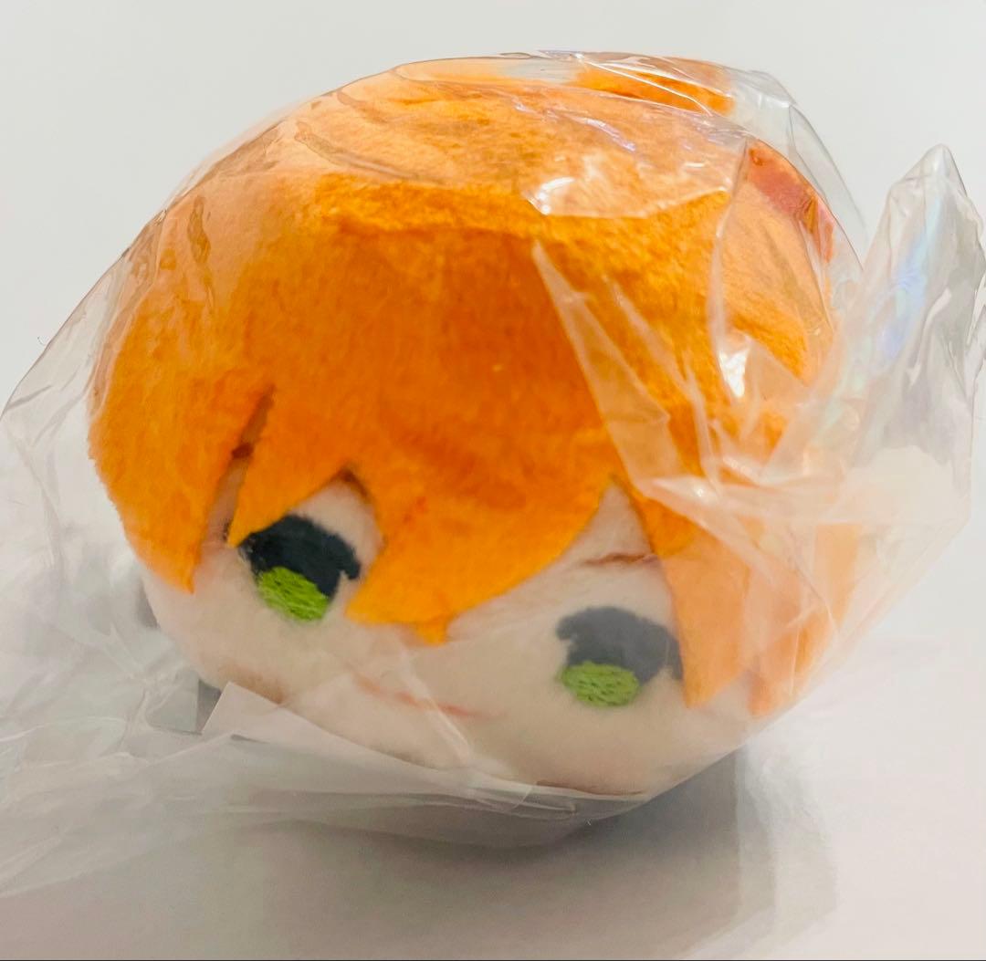 FGO Fate もちマス もちもちマスコット ロマニアーキマン