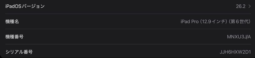 iPad Pro 12.9 第6世代 512GB + Apple Pencil