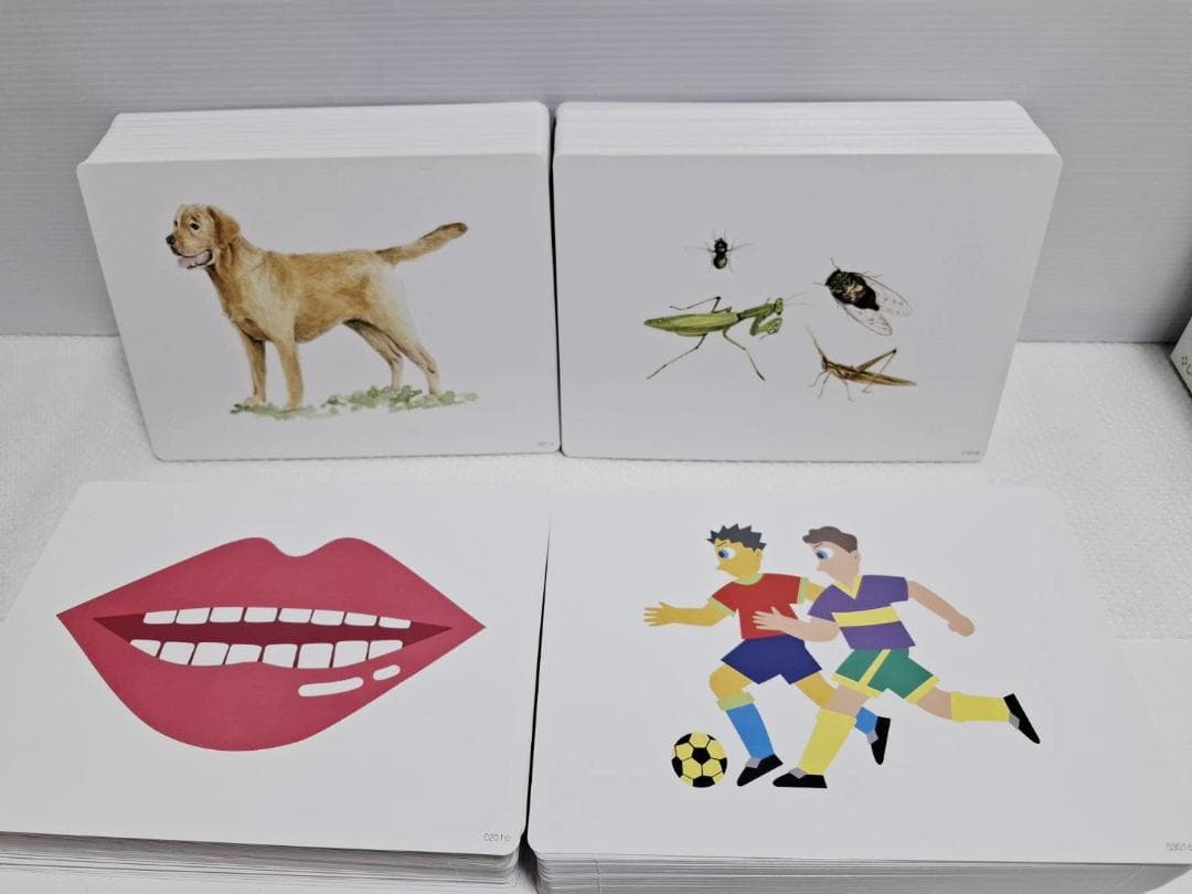 七田式 かな絵ちゃん ABセット 英語版 美品