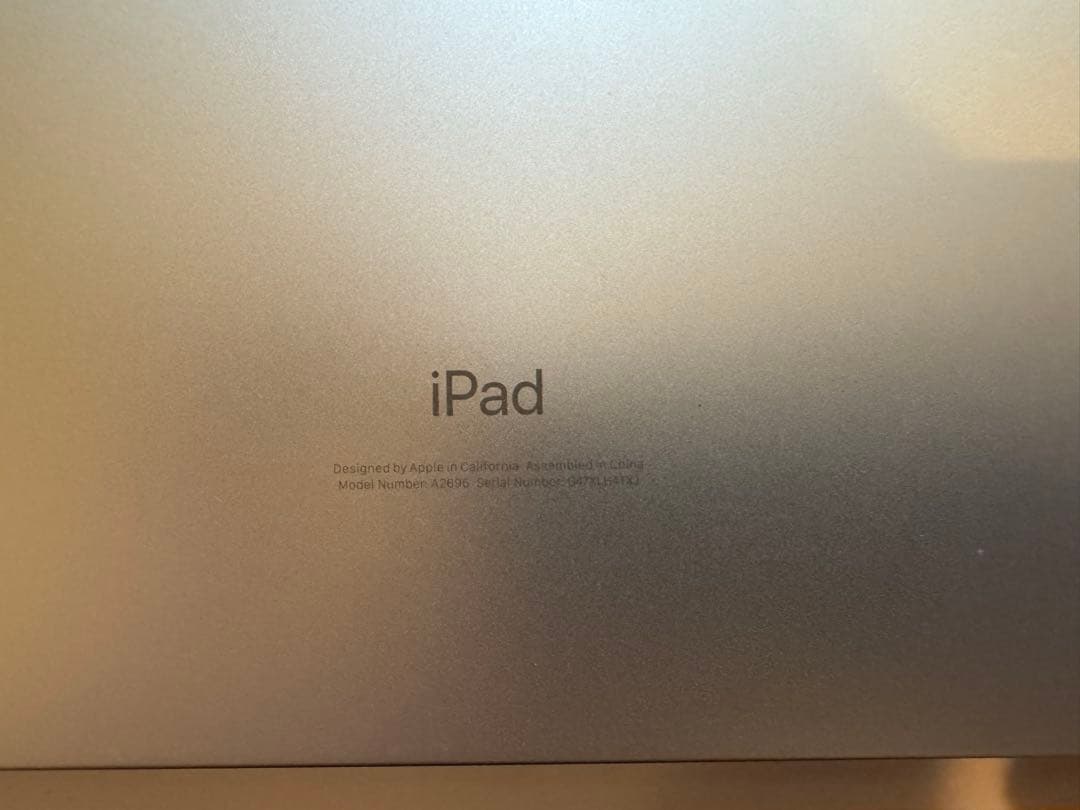 Apple iPad 第10世代本体