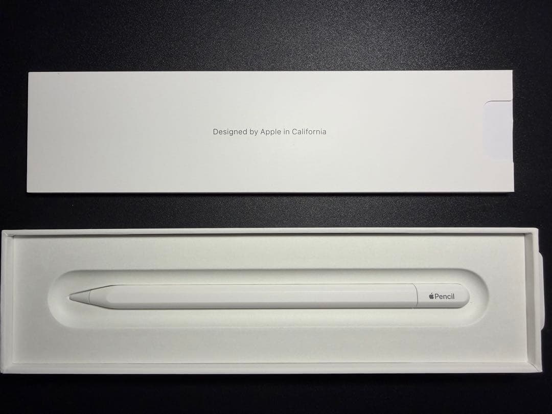 Apple Pencil アップルペンシル USB-C 純正