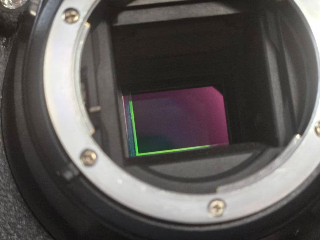 Nikon デジタル一眼レフカメラ D5500ボディ