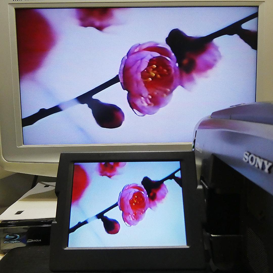 動作良好 Video.Hi8ソニー CCD-TRV90 高画質8ミリビデオカメラ