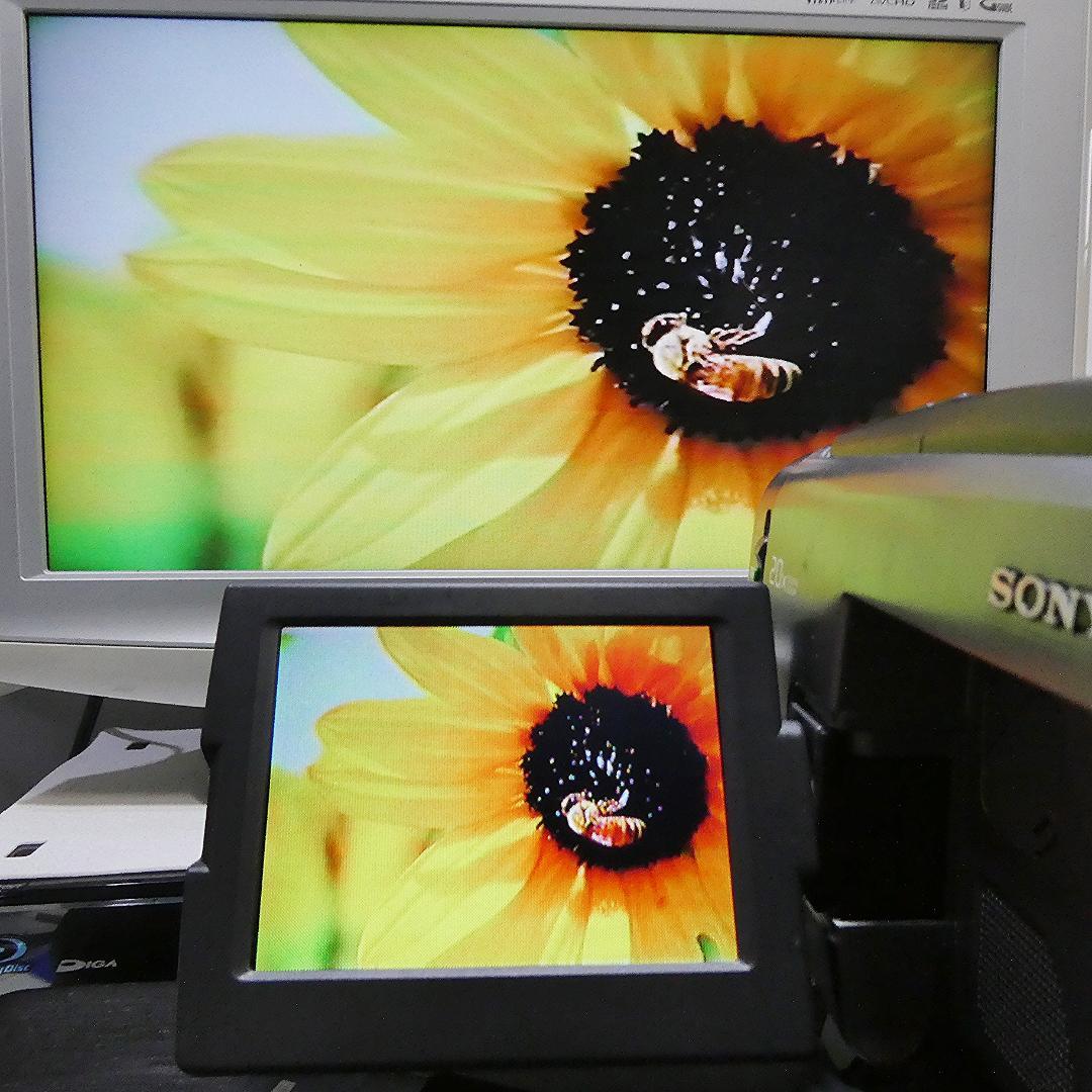 動作良好 Video.Hi8ソニー CCD-TRV90 高画質8ミリビデオカメラ