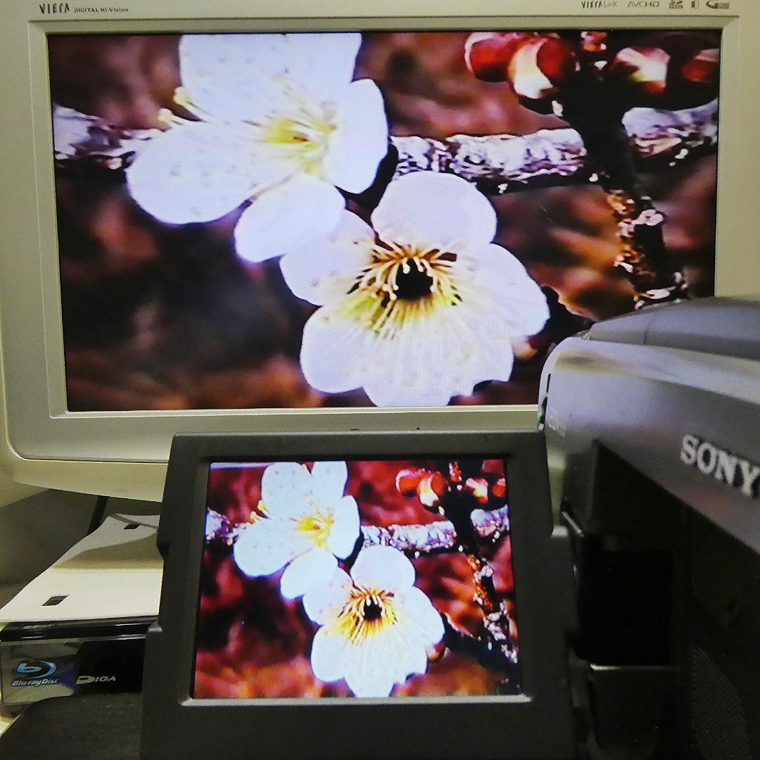 動作良好 Video.Hi8ソニー CCD-TRV90 高画質8ミリビデオカメラ