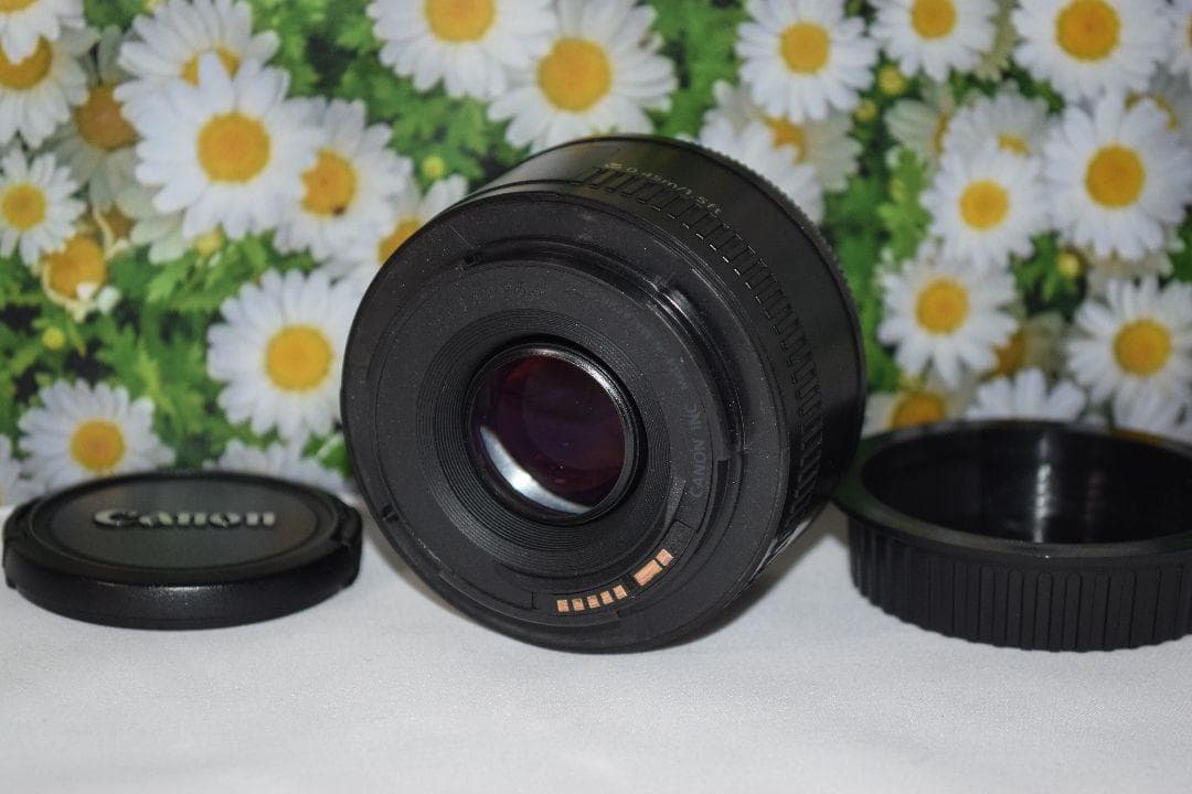 Canon EF 50mm F1.8 Ⅱ☆撮影の幅が広がる単焦点レンズ☆