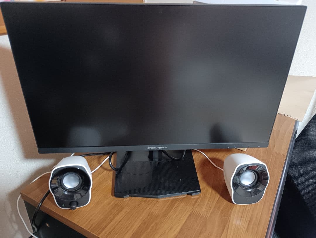 Giga Crysta EX-GD251SH ゲーミングモニター 24.5インチ