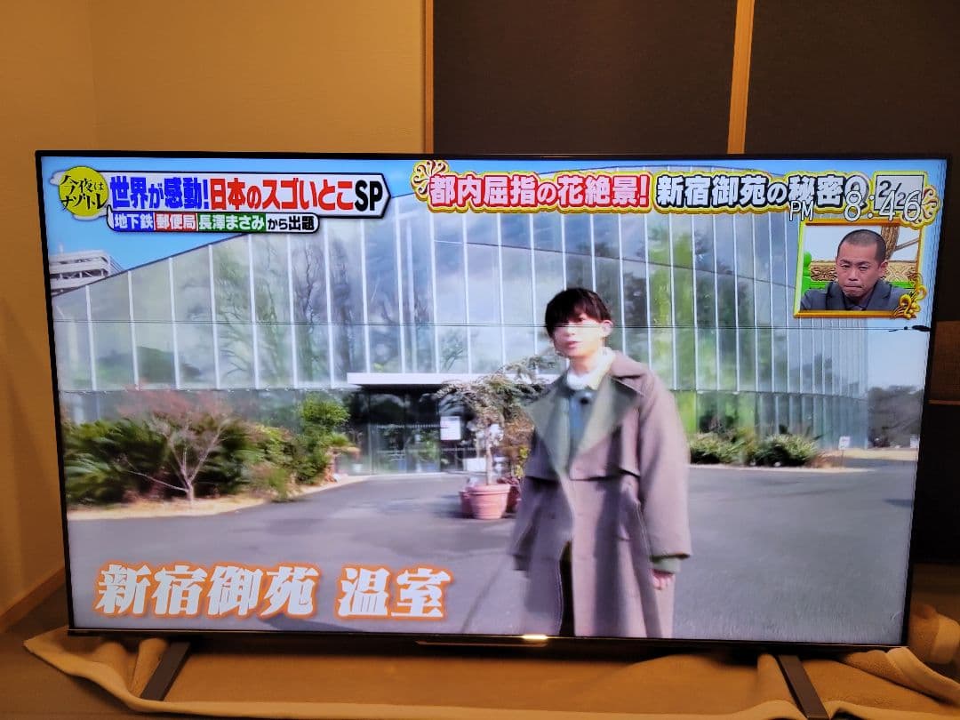 東芝 REGZA 75インチ ジャンク品