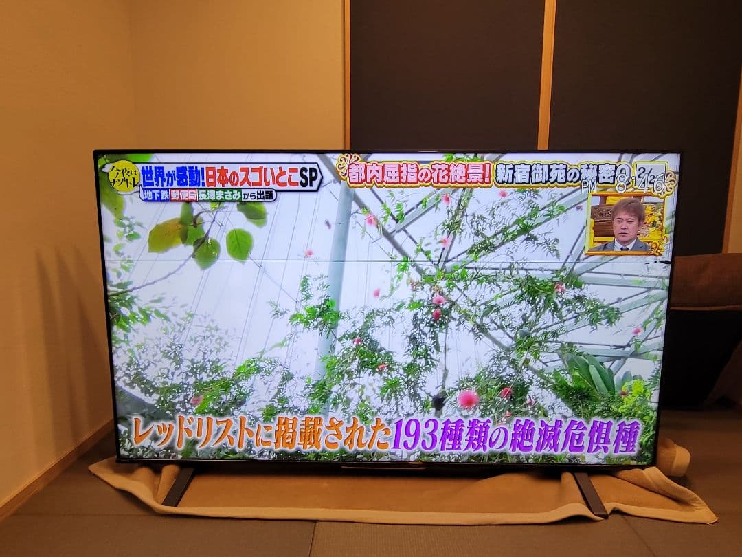 東芝 REGZA 75インチ ジャンク品