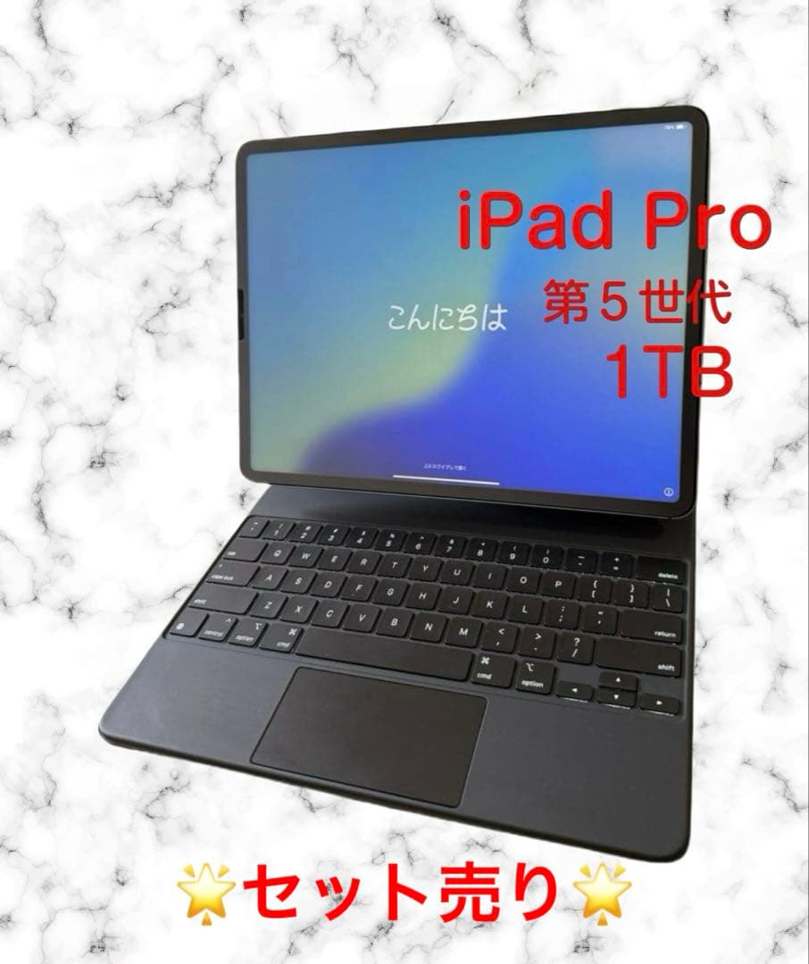 ⭐️美品⭐️セット iPad Pro 第5世代 12.9インチ 1TB セルラー