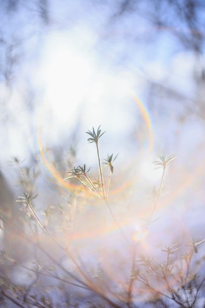 HELIOS-44M-4 58mm F2 《KMZ製》 【良品】