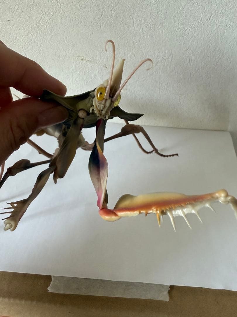 シ*ン様 いきもの大図鑑アドバンス　ニセハナマオウカマキリコンプリート