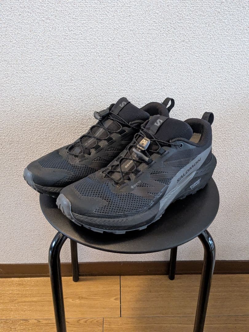 サロモン Salomon Sense Ride 5 Gore-Tex 28cm