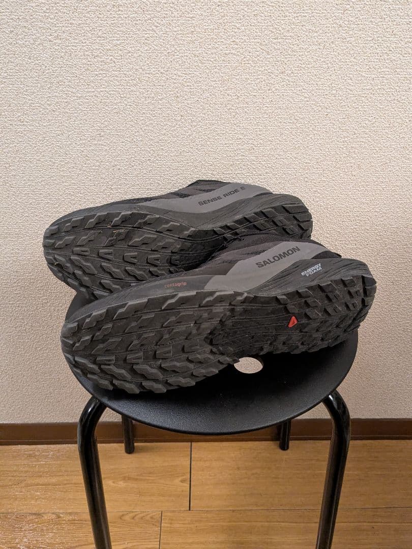 サロモン Salomon Sense Ride 5 Gore-Tex 28cm
