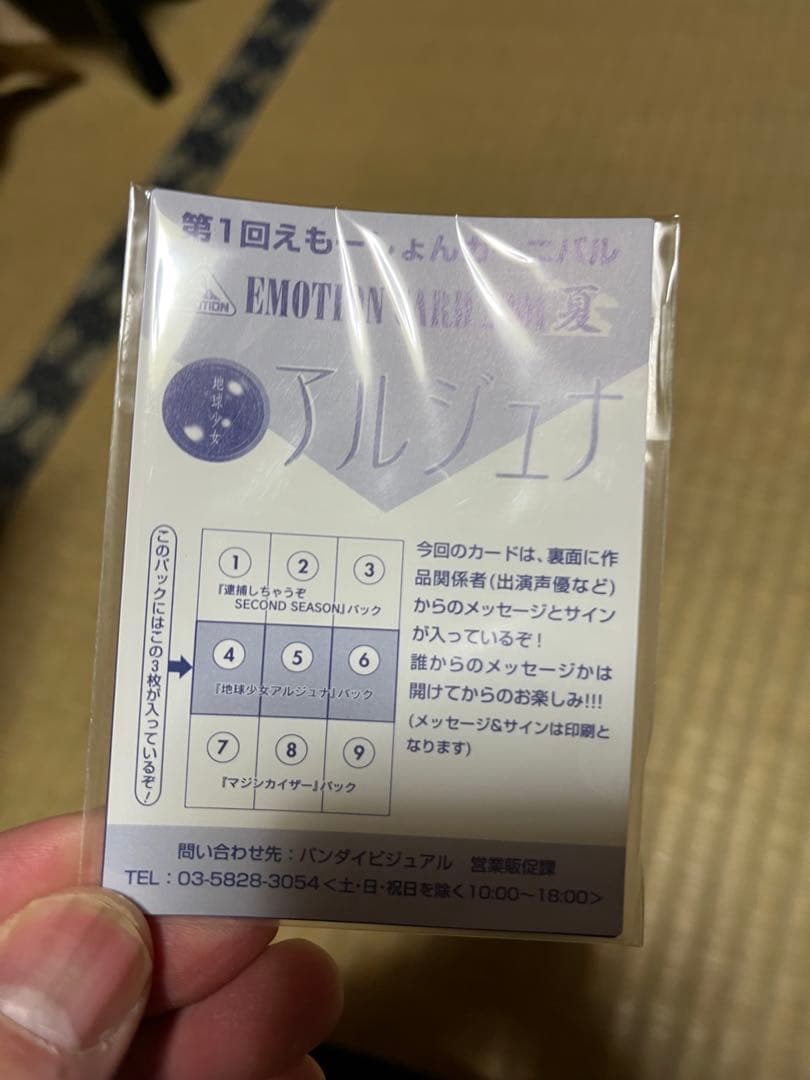 DVD 地球少女アルジュナ Director's Edition 全6巻セット