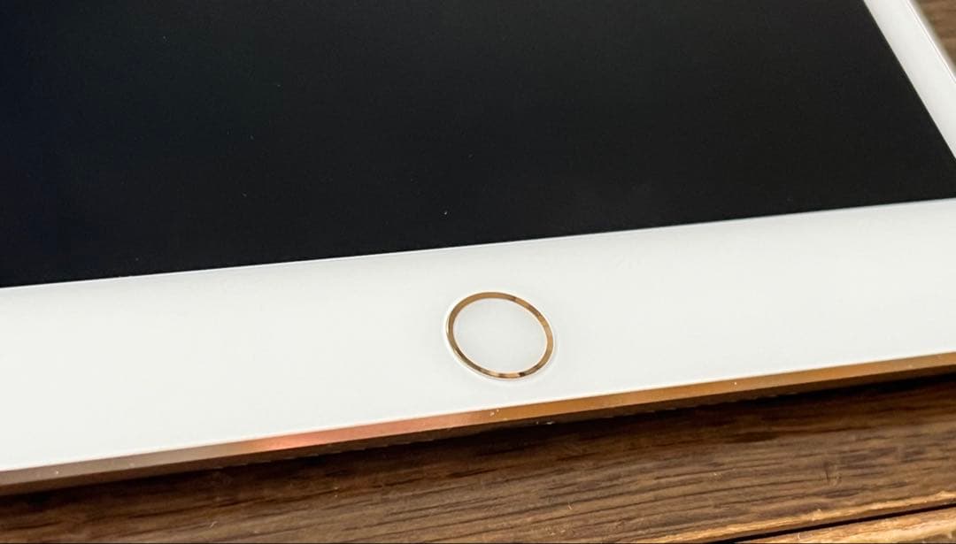 iPad本体 Apple iPad mini 4 128G