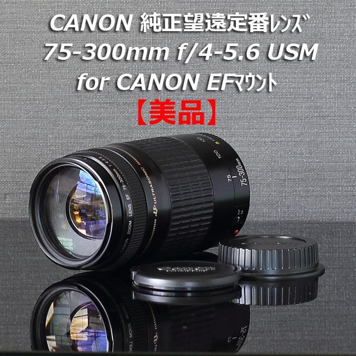 美品CANON純正定番望遠レンズEF75-300mm f/4-5:6 USM搭載