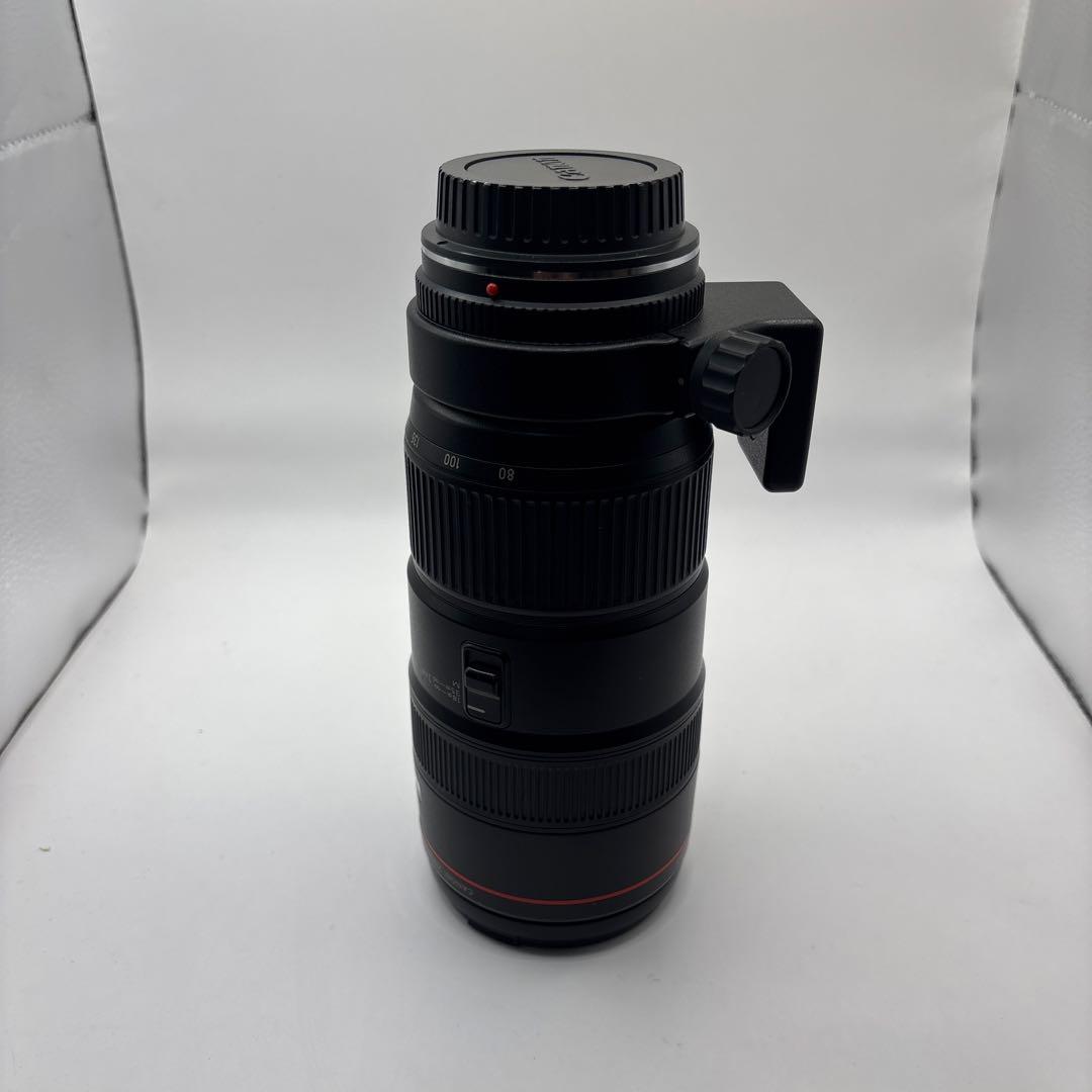 ジャンク品のCanon EF 80-200mm F2.8 L