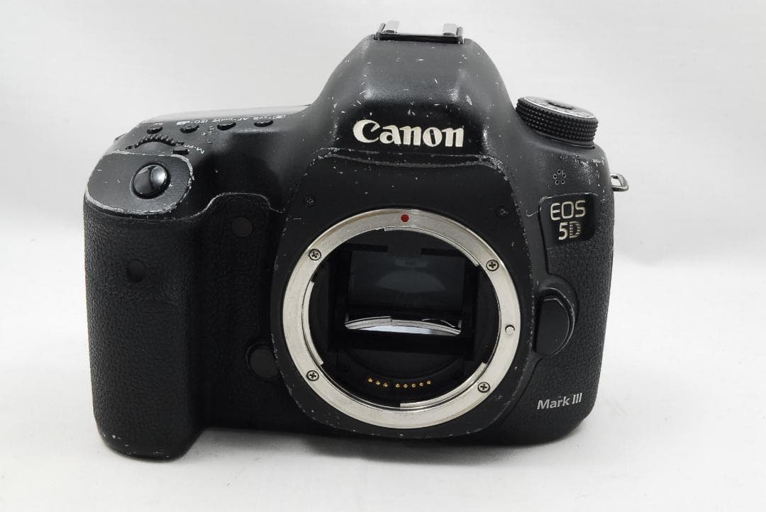 キャノン EOS 5D Mark Ⅲ &バッテリーグリップ BG-E11 463