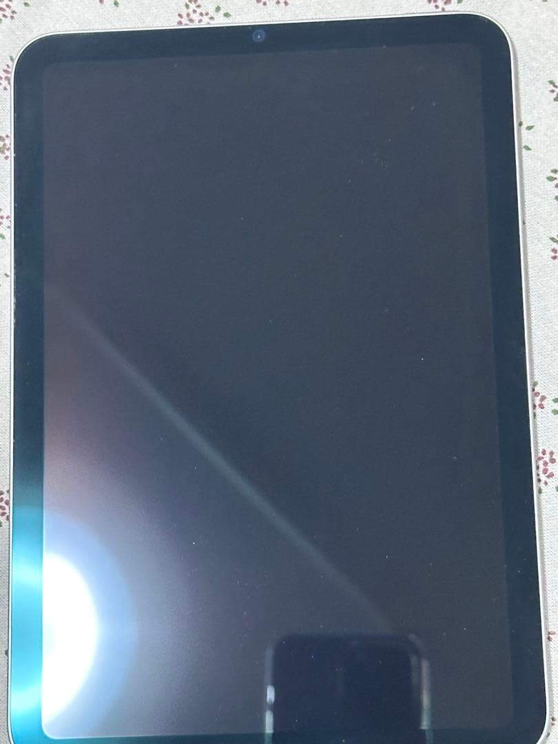 (極美品 )iPad Mini 6 (8.3インチ) 64GB WiFi モデル