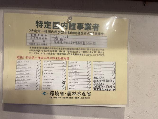 m*o様 タデスミレ　山野草