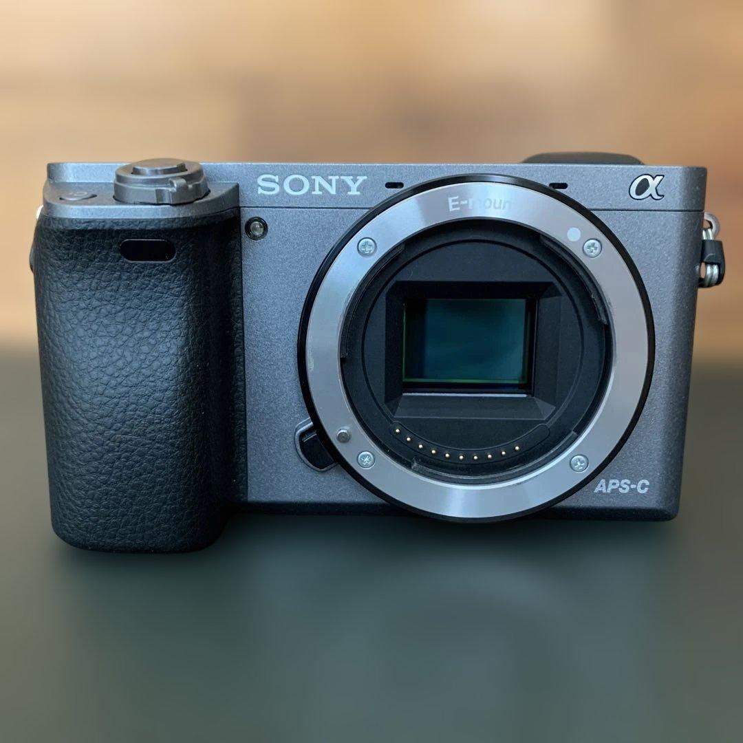 ム*イ様 SONY α6000 グラファイト　BODY
