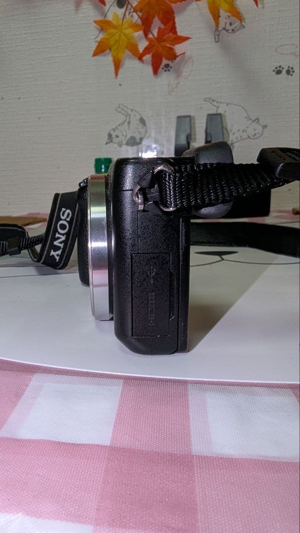 ソニーnex 6 ピンクの猫。