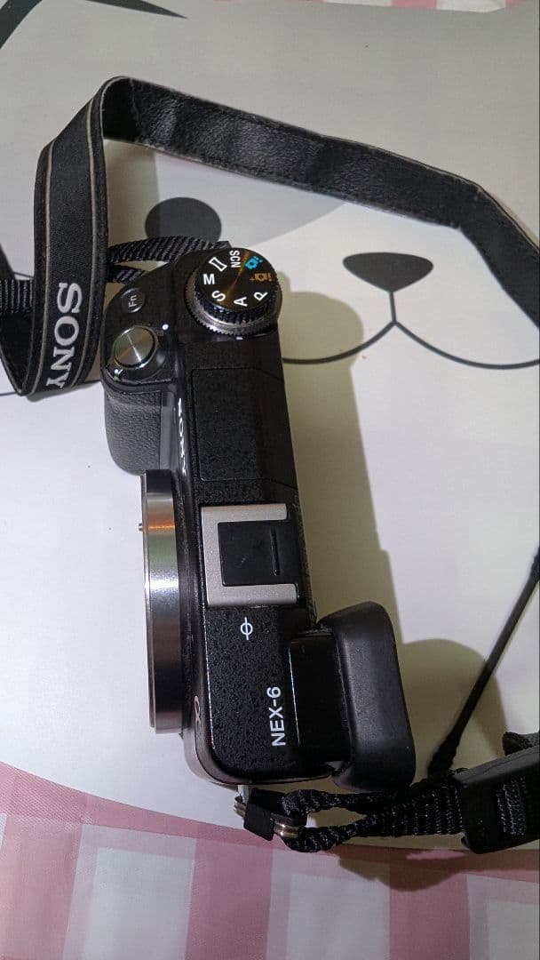 ソニーnex 6 ピンクの猫。