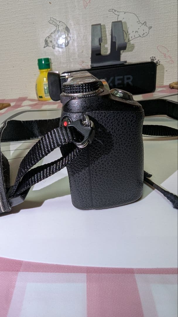 ソニーnex 6 ピンクの猫。