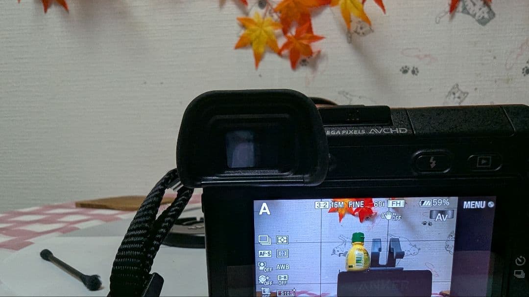 ソニーnex 6 ピンクの猫。